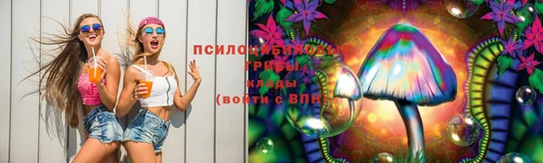 спайс Алзамай