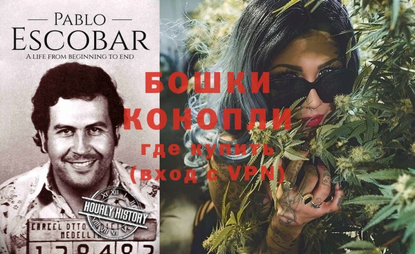 спайс Алзамай