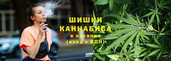 спайс Алзамай