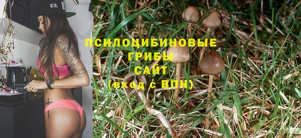 ПСИЛОЦИБИНОВЫЕ ГРИБЫ Магас