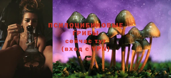 спайс Алзамай