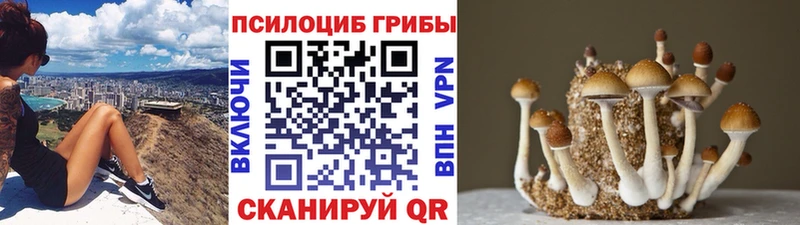 shop состав  наркота  Нижняя Салда  Галлюциногенные грибы мицелий 