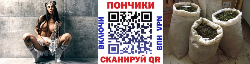 Бошки Шишки конопля  Нижняя Салда 